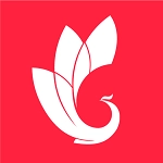 巅峰减重最新版