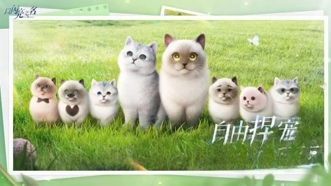 以闪亮之名最新版截图1