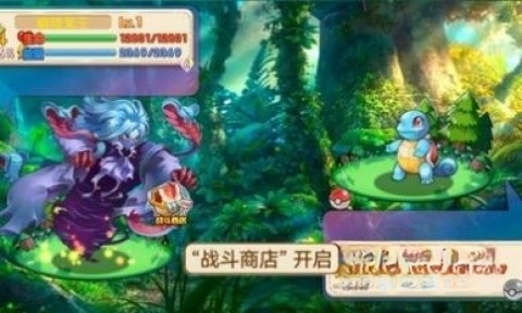 口袋妖怪孤夜凉风X版(5)