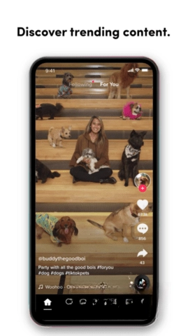 tik tok18+国际版图2