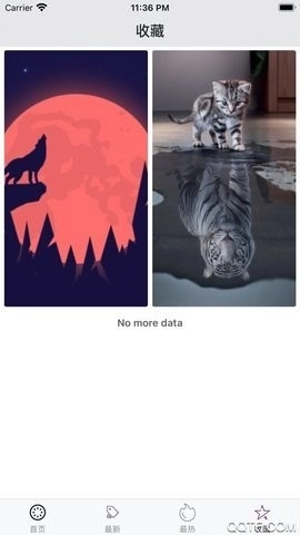 百变桌面壁纸安卓版3