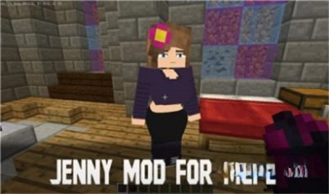 珍妮冒险安装包2