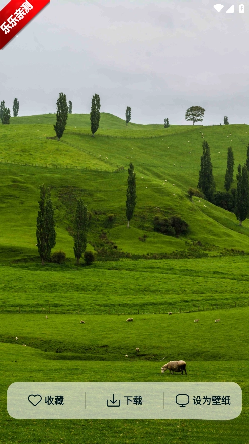 时刻壁纸手机版5
