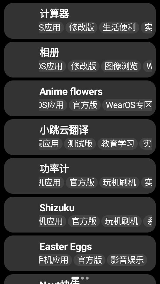 小桃应用商店手表版图3