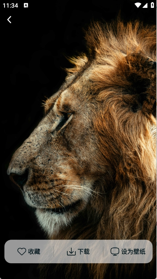 时刻壁纸安装手机版图1