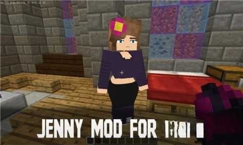 珍妮冒险安装包截图2