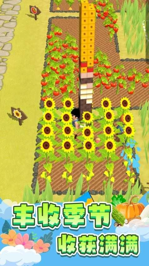 我的岛屿经营(5)