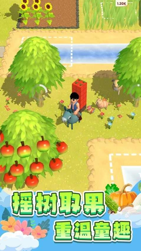 我的岛屿经营(4)