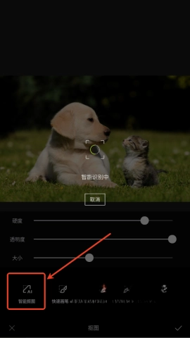 醒图最新解锁版截图1