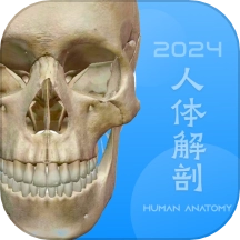 人体解剖学图谱