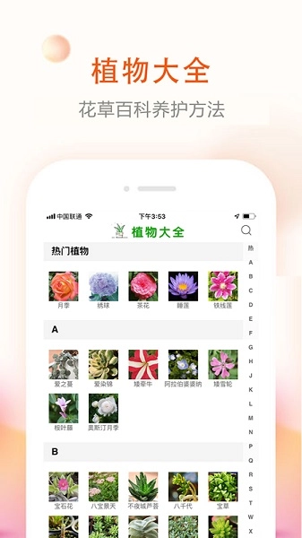 花草君图2