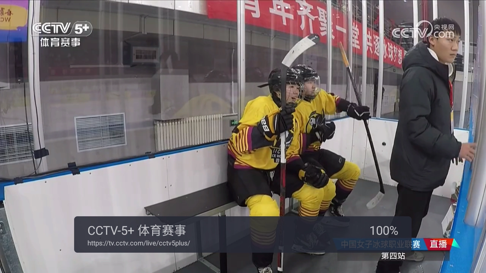 webview电视手机版截图2