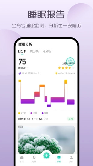 萤火虫睡眠2025图1