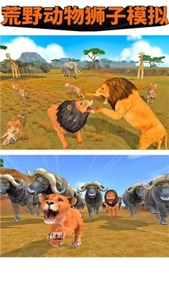 荒野动物狮子模拟 截图2