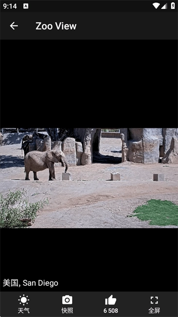 现场摄像机观众中国版