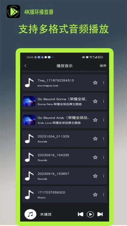 4K循环播放器图3