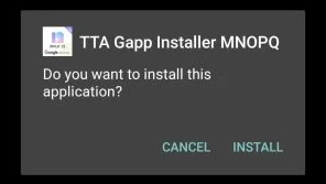 tta google installer apk软件