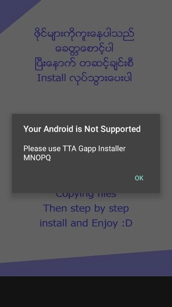 ttagoogleinstallermiui(TTAGInstallerMNOPQ)