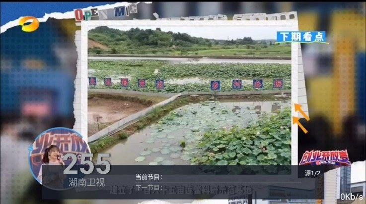 华龙直播电视版