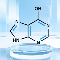 再见嘌呤最新版