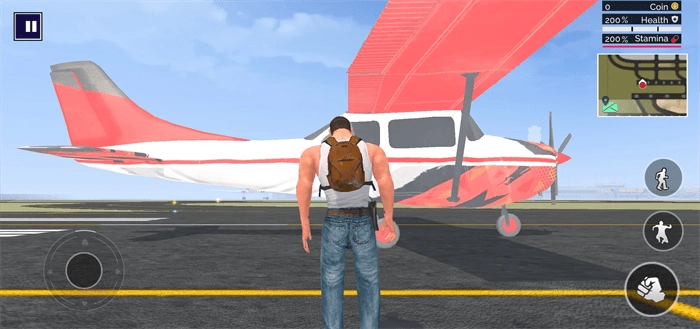 街头犯罪模拟游戏1