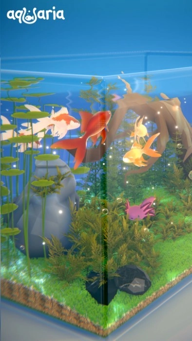 阿奎里亚概念鱼缸养殖游戏