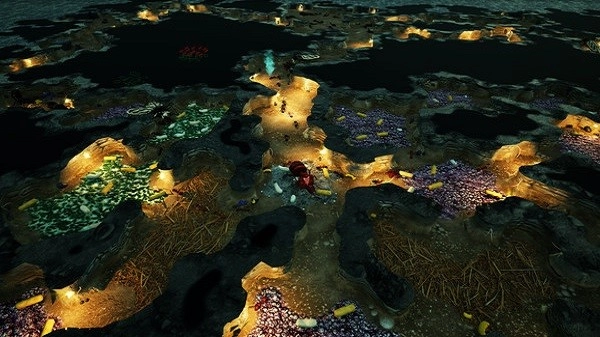 地下蚁国电脑版图4