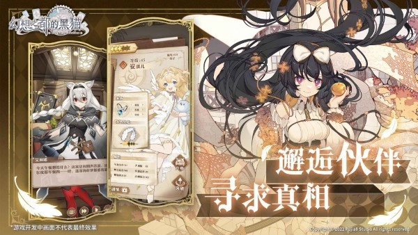 幻想之都的黑猫(3)