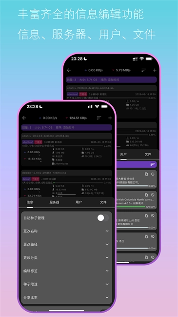 Bit远控助手(1)