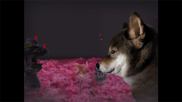 翌日波奇狗的历险记中文版图3