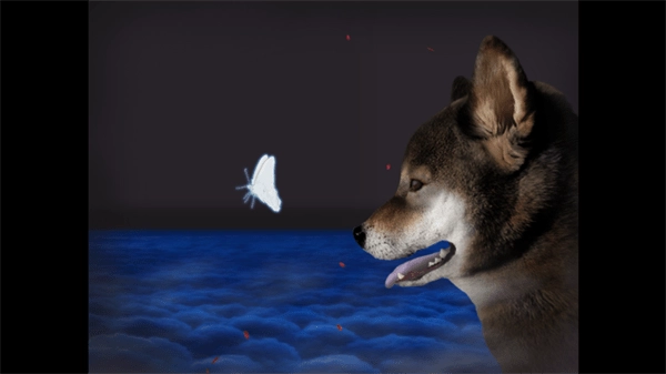 翌日波奇狗的历险记中文版图4