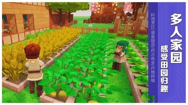 龙与家园汉化版(3)