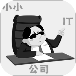 小小it公司