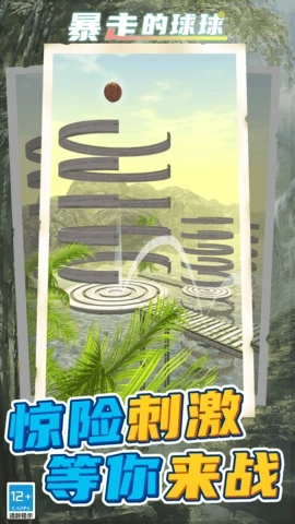 暴走的球球(1)