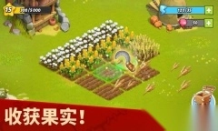 家庭岛农场游戏(FamilyIsland)图4