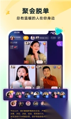 伊对相亲交友截图3