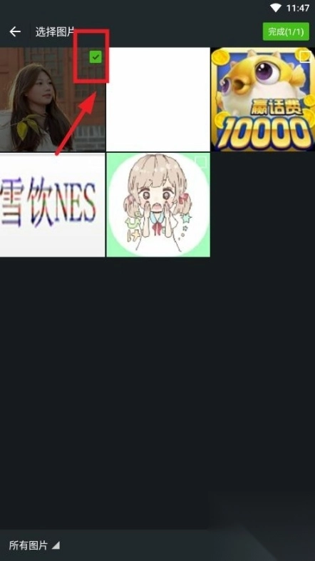 图了个图最新版