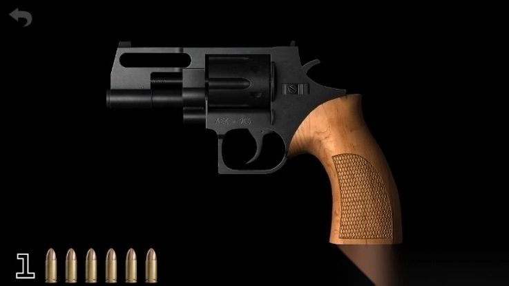 真实枪械2枪支全解锁版1