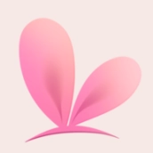 VTubeStudio手机版 v13