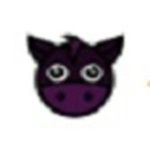 小马盘搜索引擎