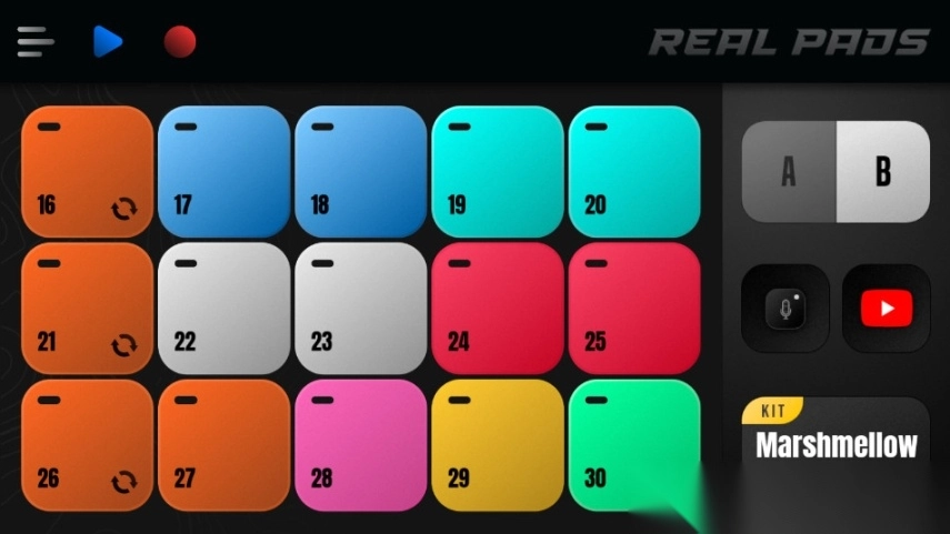 RealPads会员版图1