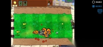 植物大战僵尸内鬼版图7