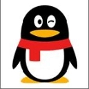 QQPro安卓免费版