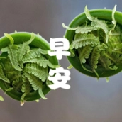 成友早安智能图片祝福语软件