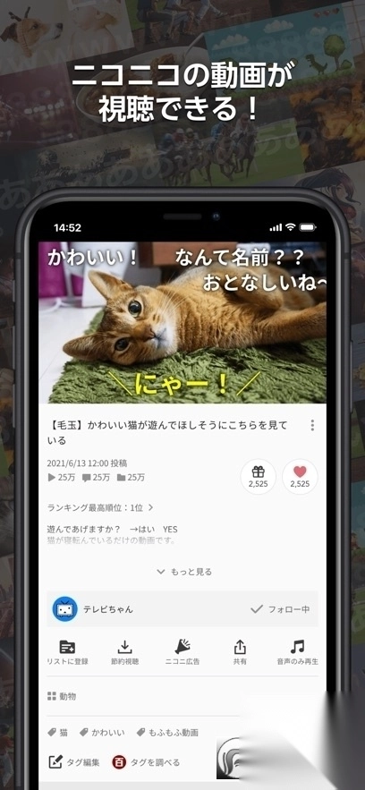 n站漫画(ニコニコ動画)最新版图2