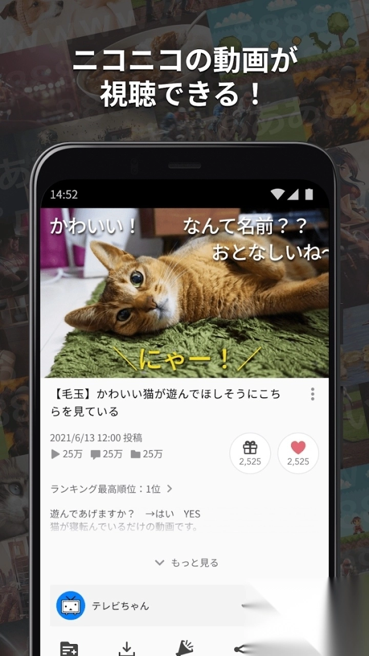 日本niconico动画官方app图1