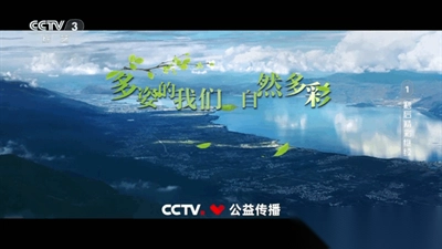 愛尚電視TV電視版截圖3