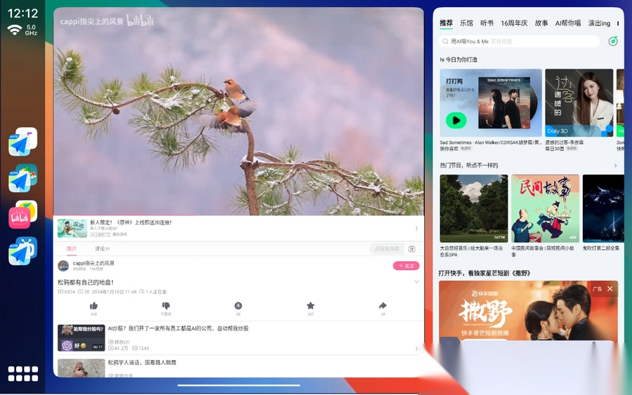 CarCarLauncher分屏软件2025最新版截图3