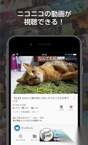 niconico动画最新中文版2025官方手机版图3