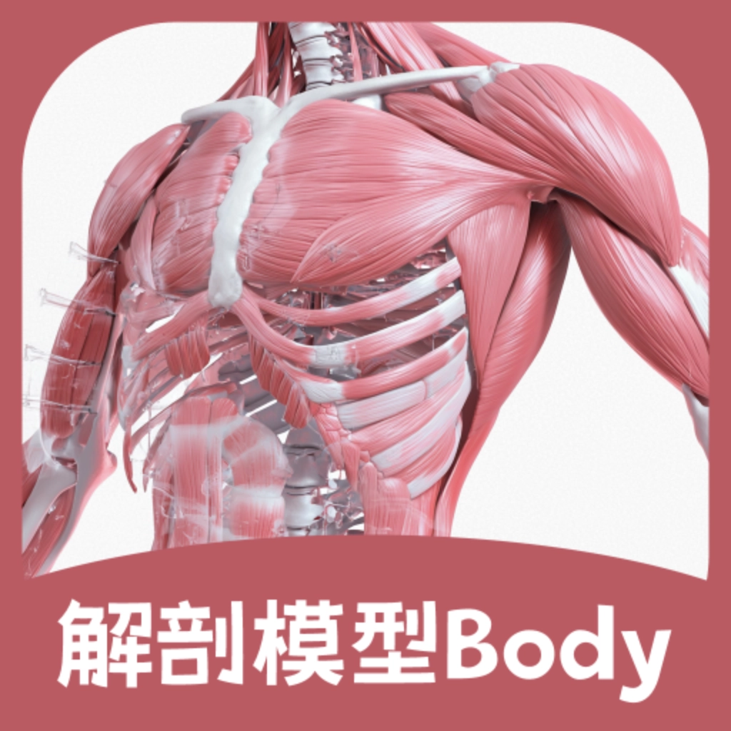 解剖模型Body